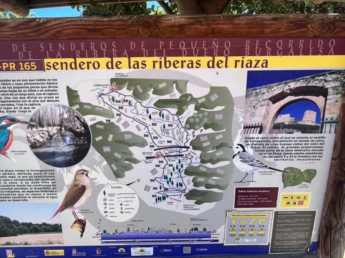 הוילה Campillo de Aranda Casa Marite Vivienda De Uso Turistico מראה חיצוני תמונה