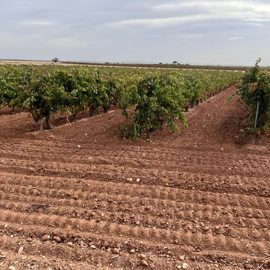 הוילה Campillo de Aranda Casa Marite Vivienda De Uso Turistico מראה חיצוני תמונה